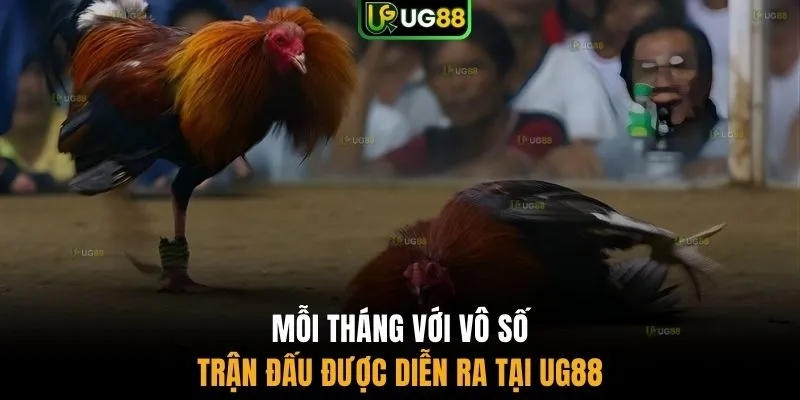 Mỗi tháng với vô số trận đấu được diễn ra tại UG88
