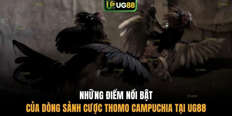 Những điểm nổi bật của trận đấu Thomo Campuchia