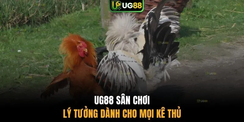 UG88 sân chơi lý tưởng dành cho mọi kê thủ